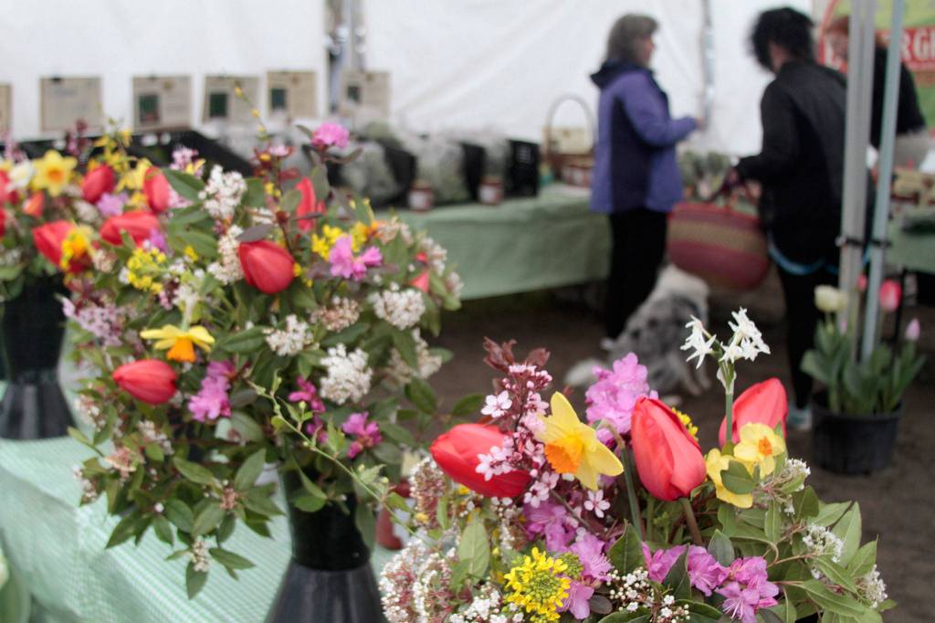 A fresh year for the farmers market | GALLERY