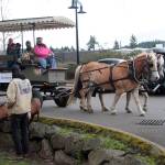 A fresh year for the farmers market | GALLERY
