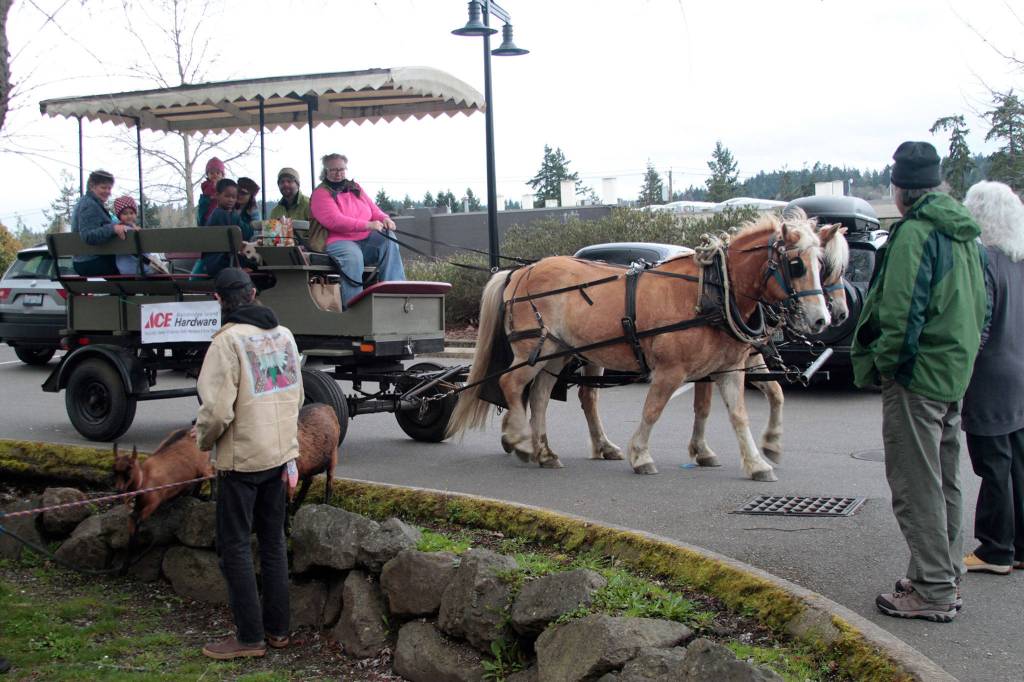 A fresh year for the farmers market | GALLERY