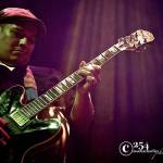 Return of Tiger at the Treehouse