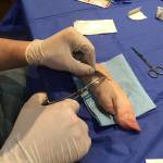 Bainbridge Resilience Guild: Making the best out of prepping for the worst