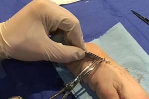 Bainbridge Resilience Guild: Making the best out of prepping for the worst