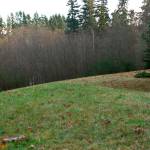 Bainbridge parks board reviews feasibility study for kiddie steam train at Sakai Park