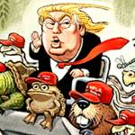 Trump’s 14th week in office | In cartoons