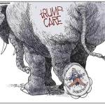 Trump’s 15th week in office | In cartoons