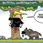 Comey’s firing | In cartoons