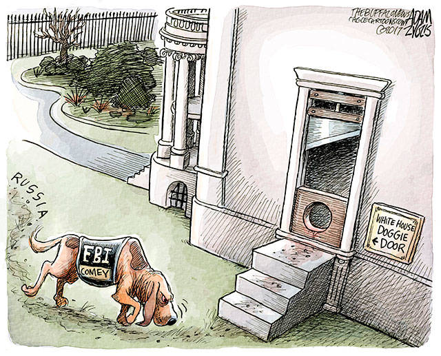 Comey’s firing | In cartoons