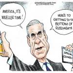 Trump’s 17th week in office | In cartoons