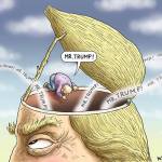 Trump’s 17th week in office | In cartoons