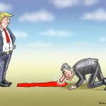 Trump’s 17th week in office | In cartoons