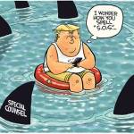 Trump’s 17th week in office | In cartoons