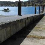 Luciano Marano | Bainbridge Island Review - The concrete floats that long supported the public dock in Waterfront Park are up for grabs.
