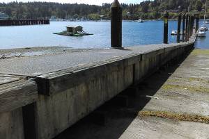 Free to a good home: city dock floats