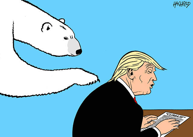 Trump’s 20th week in office | In cartoons