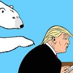 Trump’s 20th week in office | In cartoons