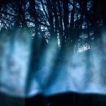 BHS shutterbugs nab top honors in photo contest