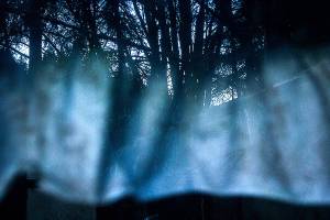 BHS shutterbugs nab top honors in photo contest