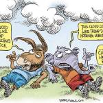 Trump’s 21st week in office | In cartoons