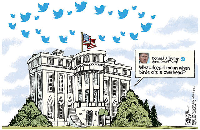 Trump’s 21st week in office | In cartoons