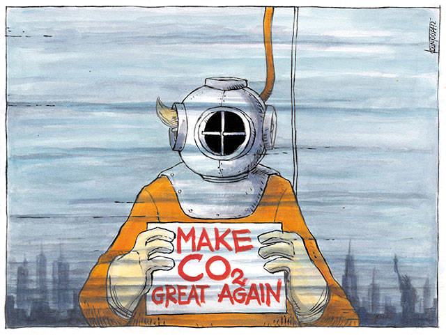 Trump’s 21st week in office | In cartoons