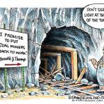 Trump’s 23rd week in office | In cartoons