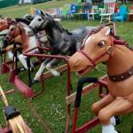 Sneak peek: 2017 Rotary auction photos | Gallery
