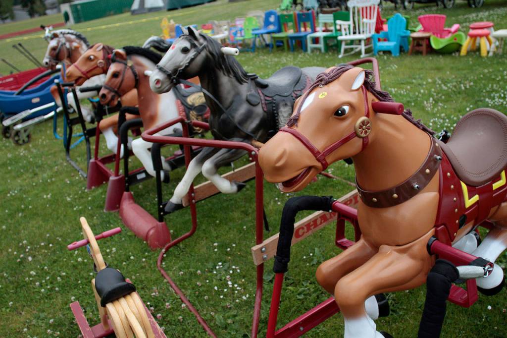 Sneak peek: 2017 Rotary auction photos | Gallery