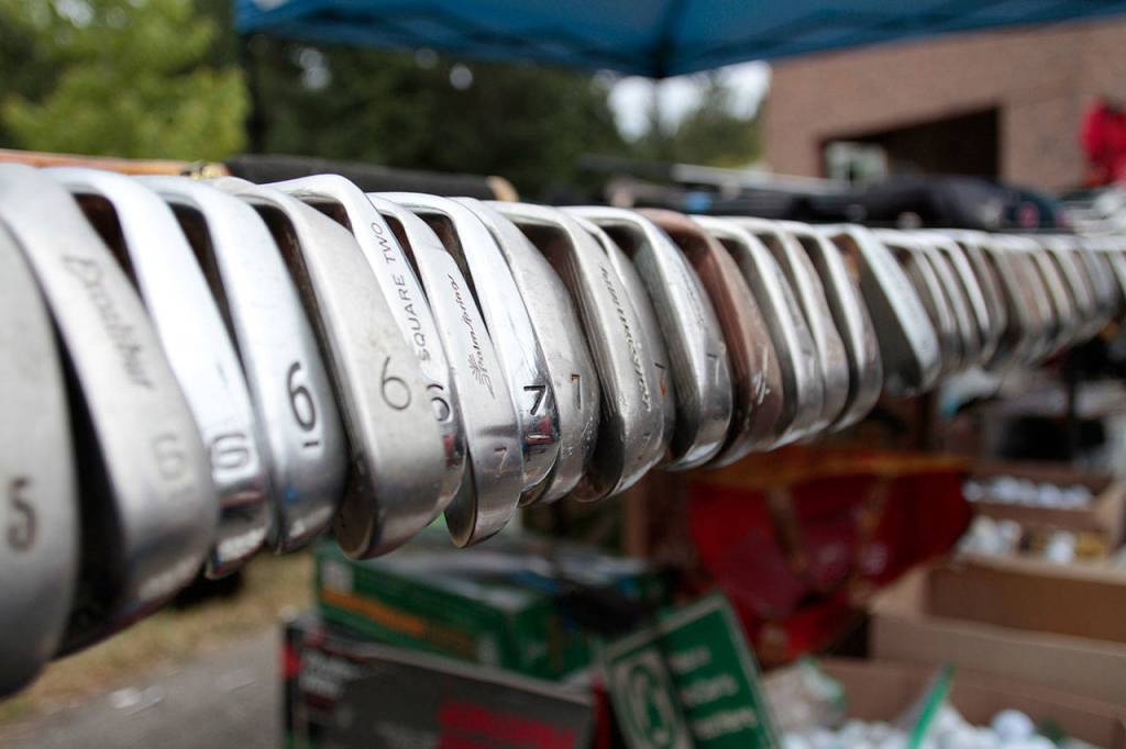 Sneak peek: 2017 Rotary auction photos | Gallery