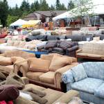 Sneak peek: 2017 Rotary auction photos | Gallery