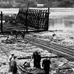 Minesweepers of steel: Kitsap’s other shipyard