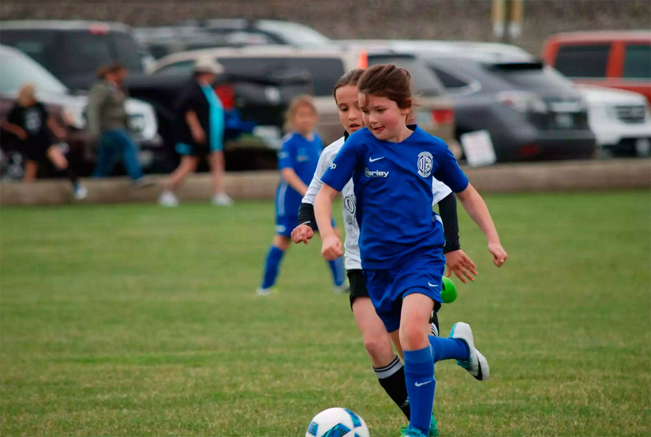 Photo courtesy of Ian McCallum | Bainbridge Island Football Club Girls 1999 Blue and Girls 2007 Blue both came away as champions from the recent Skagit Firecracker tournament.                                 Photo courtesy of Ian McCallum | Bainbridge Island Football Club Girls 1999 Blue and Girls 2007 Blue both came away as champions from the recent Skagit Firecracker tournament.                                 Photo courtesy of Ian McCallum | Bainbridge Island Football Club Girls 1999 Blue and Girls 2007 Blue both came away as champions from the recent Skagit Firecracker tournament.                                 Photo courtesy of Ian McCallum | Bainbridge Island Football Club Girls 1999 Blue and Girls 2007 Blue both came away as champions from the recent Skagit Firecracker tournament.