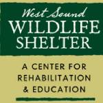 Creature secrets revealed at free wildlife program