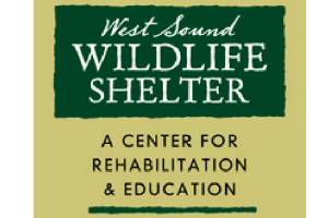 Creature secrets revealed at free wildlife program