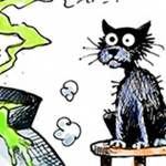 Trump’s 26th week in office | In cartoons