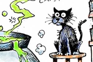 Trump’s 26th week in office | In cartoons