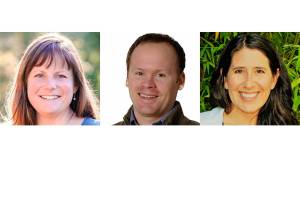 Three candidates vie for seat on Bainbridge Island School Board