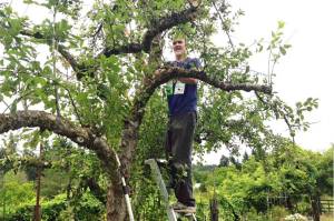 Bainbridge Island berries abound