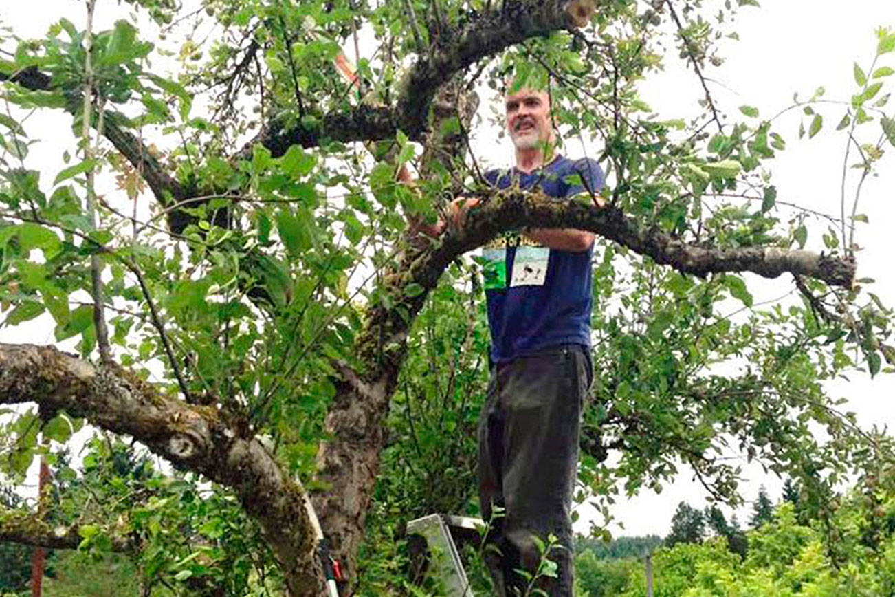 Bainbridge Island berries abound