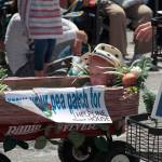 Patriotic pictures: Our best shots from the Fourth | Photo gallery