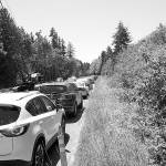 Holiday traffic leads to long waits at Bainbridge ferry terminal