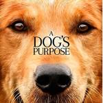 Outdoor movies return to Battle Point Park