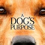 Outdoor movies return to Battle Point Park