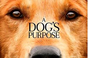 Outdoor movies return to Battle Point Park