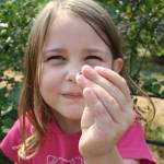 Picking the blues on Bainbridge Island