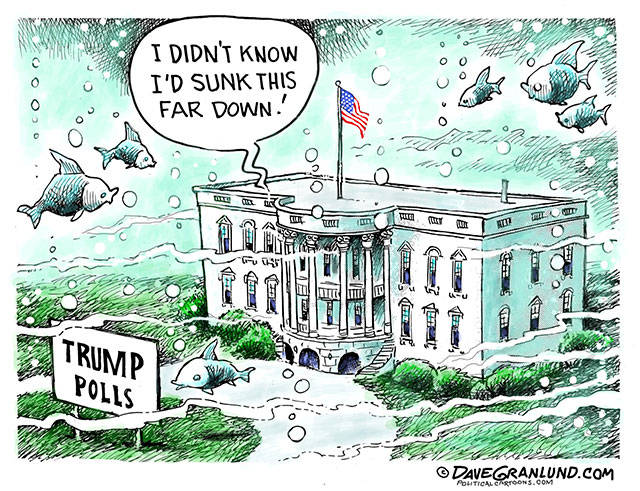Trump’s 29th week in office | In cartoons