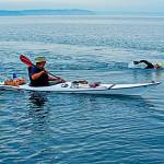 Photo courtesy of Pete Saloutos.                                Michael Silves kayaks behind John Goessman during a round-the-island swim in 2014.