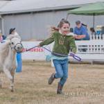 A young girl shows a miniature horse at last year&rsquo;s fair. (Mike Bay photo)