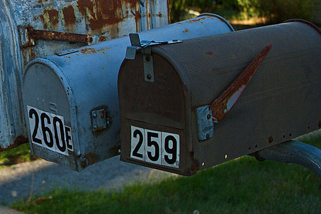 Keep a seasoned member on the council | Letter to the editor