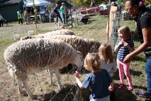 Harvest Fair returns to Johnson Farm