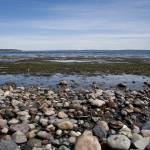Helpers needed for all-island beach cleanup